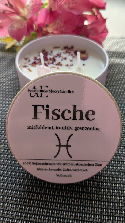Vollmondkerze Fische